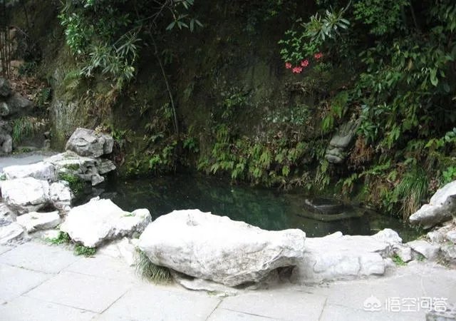 龙井茶的由来是什么？