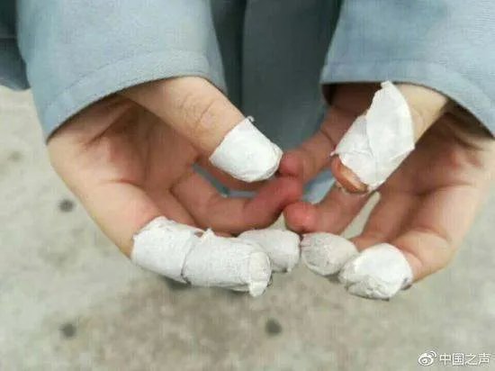 山东某高校被指把学生卖给工厂当工人是真的吗？