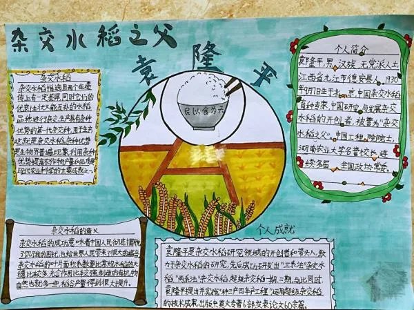 袁隆平手抄报五年级