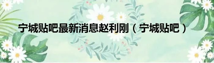 宁城贴吧最新消息赵利刚（宁城贴吧）