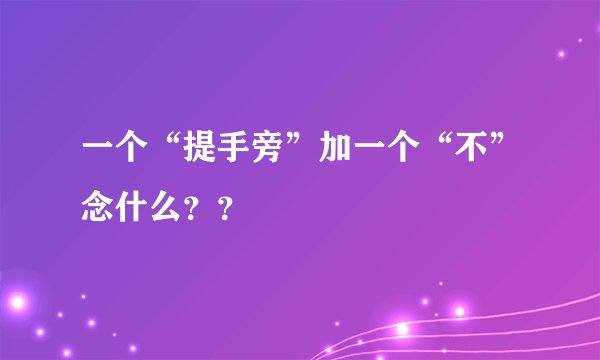 一个“提手旁”加一个“不”念什么？？