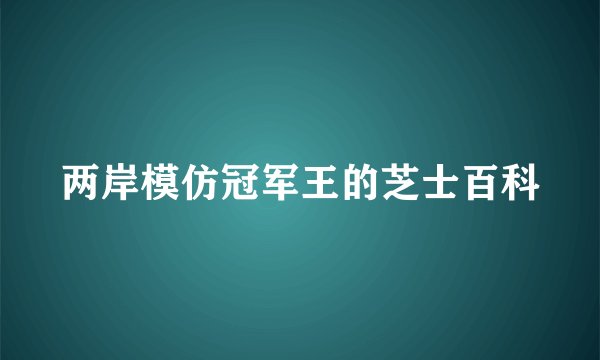 两岸模仿冠军王的芝士百科