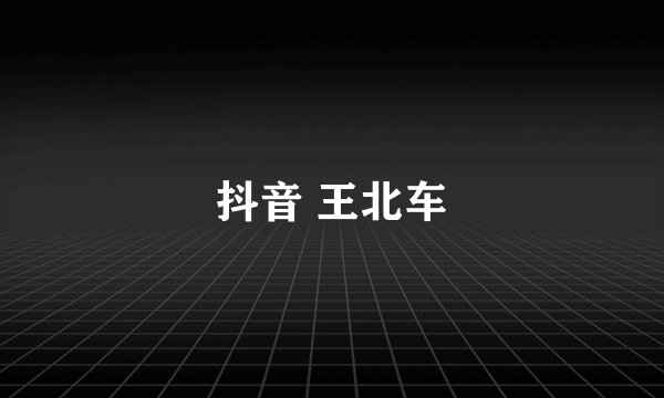 抖音 王北车