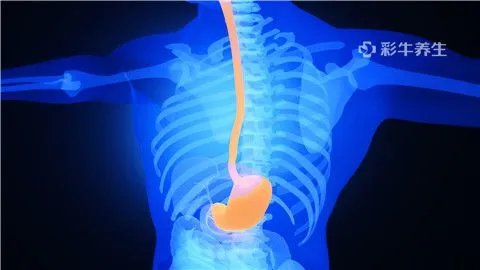 食道癌手术后饮食大全