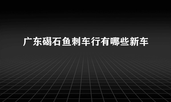 广东碣石鱼刺车行有哪些新车