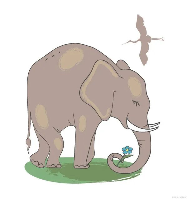 如果鳄鱼与大象打起架来，谁的胜算会更大一些？