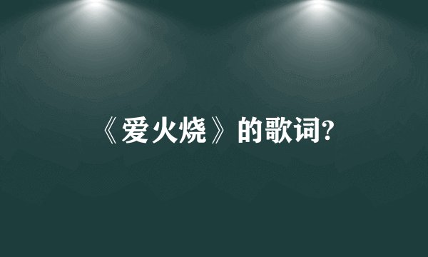 《爱火烧》的歌词?