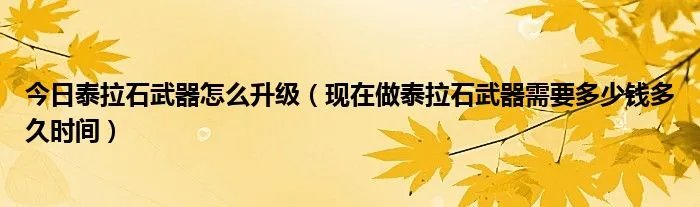 今日泰拉石武器怎么升级（现在做泰拉石武器需要多少钱多久时间）