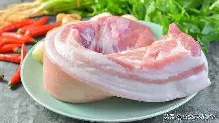 猪价全面暴跌！猪肉降入20元时代，10元猪肉还远吗？