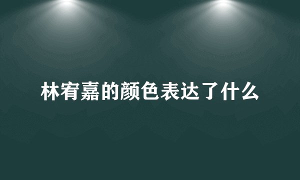 林宥嘉的颜色表达了什么