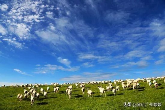 中国共有哪些著名的湿地公园？