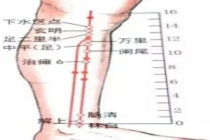 足二里的准确位置图片