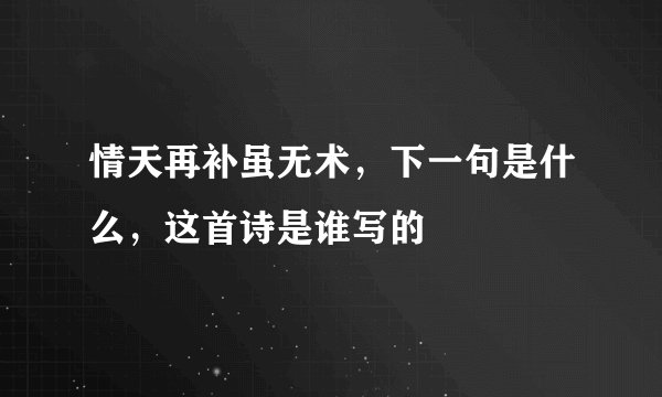 情天再补虽无术，下一句是什么，这首诗是谁写的