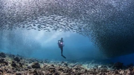 3名中国游客失踪在印尼潜水失踪 这究竟是怎么回事？