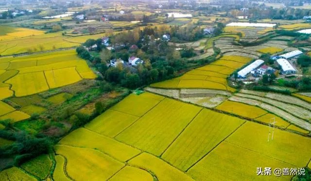 什么什么的田野填词语？