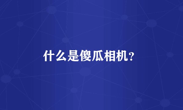 什么是傻瓜相机？