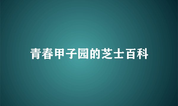 青春甲子园的芝士百科