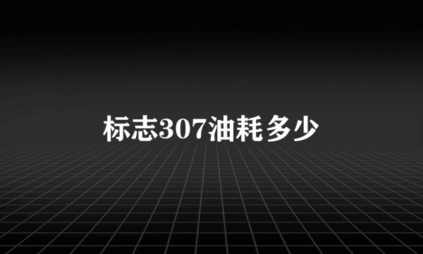 标志307油耗多少