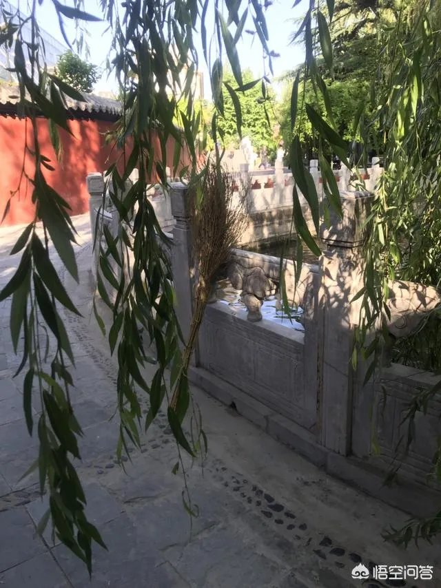 如果华为推出鸿蒙系统，我的华为安卓系统手机该怎么办？