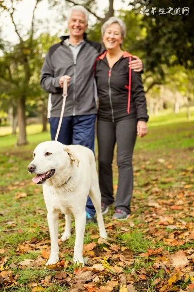 假体隆鼻手术价钱大约是多少