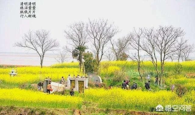 清明上坟的最佳时间是几点？有哪些禁忌和要求？