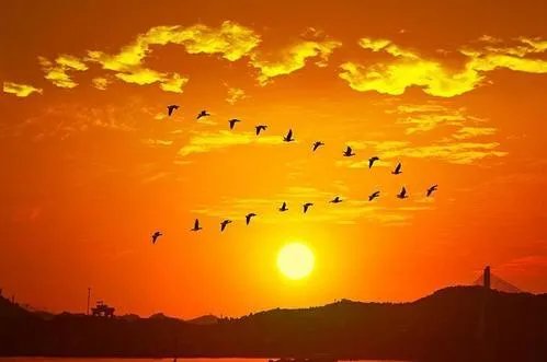 碧云天黄花地西风紧北雁南飞下联？