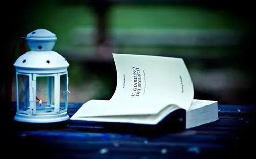 小清欢全文加番外 小清欢云拿月