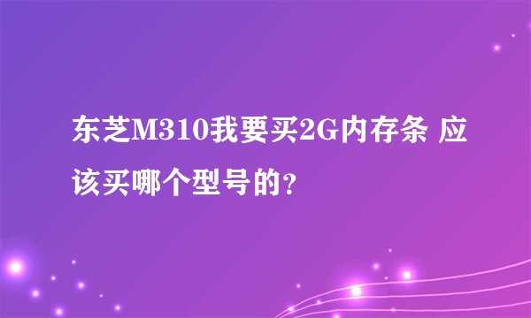 东芝M310我要买2G内存条 应该买哪个型号的？