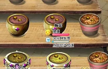 请问玫瑰小镇的断枝怎么得啊？