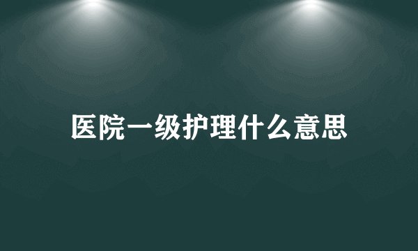 医院一级护理什么意思