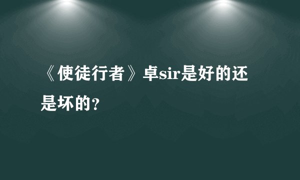 《使徒行者》卓sir是好的还是坏的？