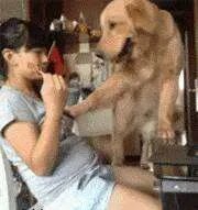 谁有小丸子鞠躬的图片