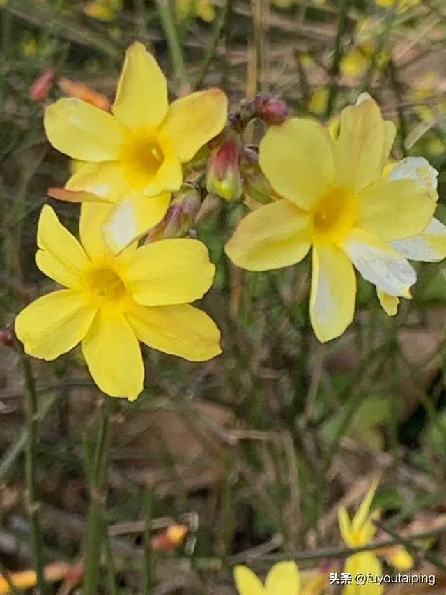 单位有断缴养老保险的情况，怎么办？