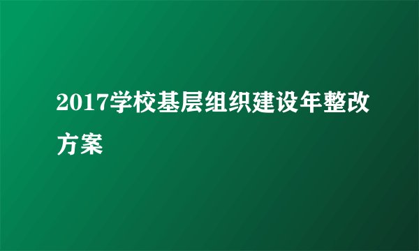 2017学校基层组织建设年整改方案