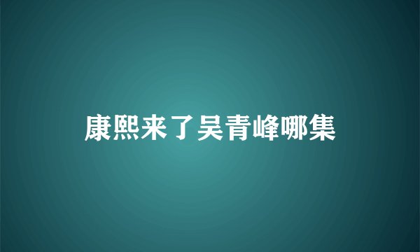 康熙来了吴青峰哪集