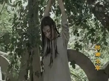 如何评价电视剧《阿娜尔罕》？