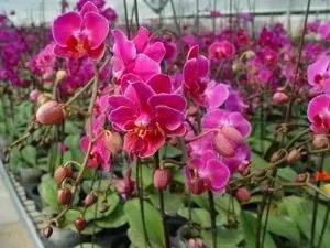 翁源有什么风景区吗？