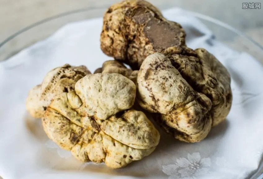 松露多少钱一斤 2017松露价格多少钱一斤
