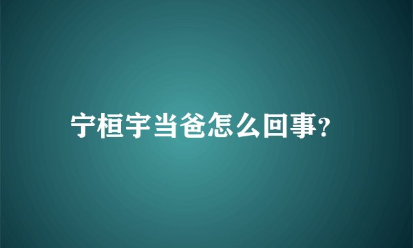宁桓宇当爸怎么回事？