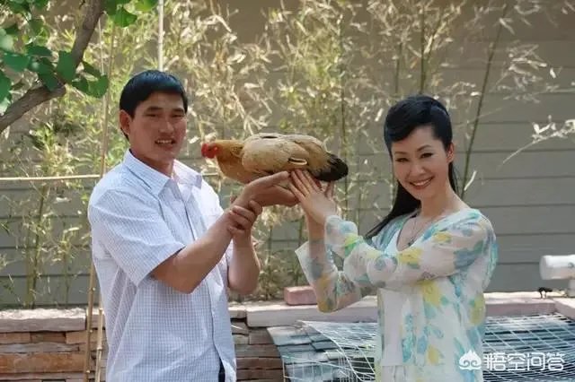 农民歌手就不应该尊重吗？人家为什么那么火？