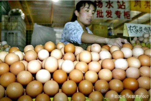 鸡蛋价格“塌方式下跌”，年前还会涨吗？
