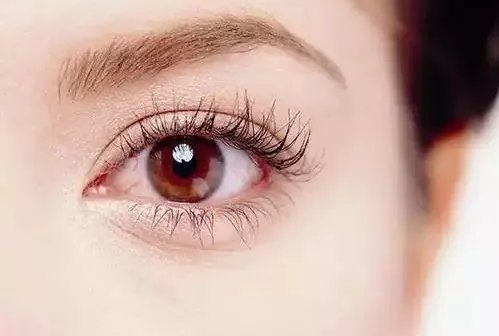 眼部整形多少钱呢