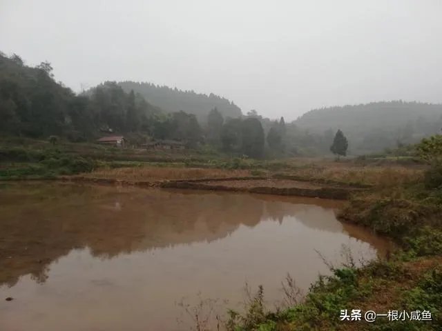 封村什么时候解封