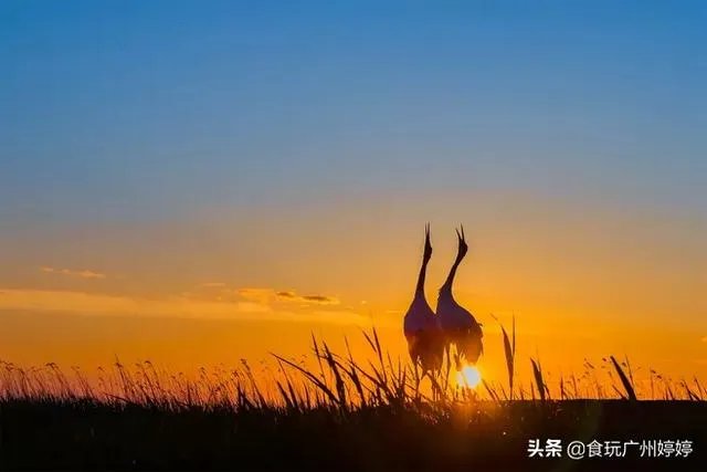 中国共有哪些著名的湿地公园？