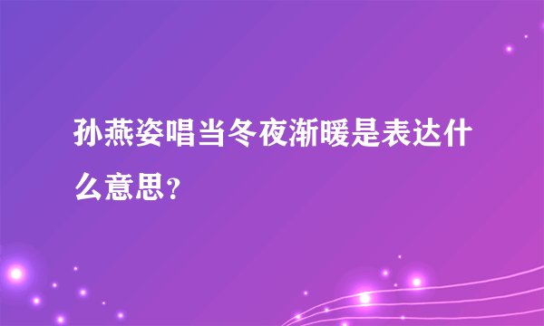 孙燕姿唱当冬夜渐暖是表达什么意思？