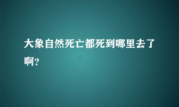 大象自然死亡都死到哪里去了啊？