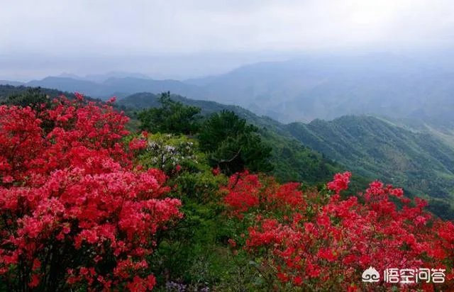 好人为什么受到冤枉