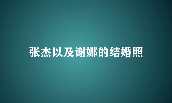 张杰以及谢娜的结婚照