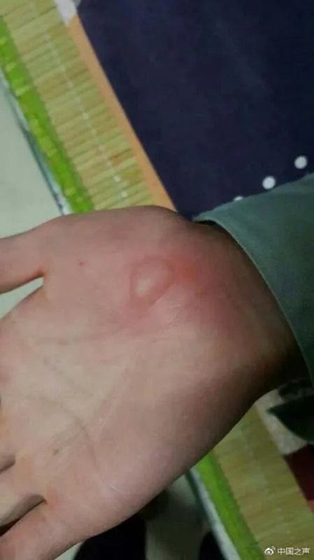 山东某高校被指把学生卖给工厂当工人是真的吗？