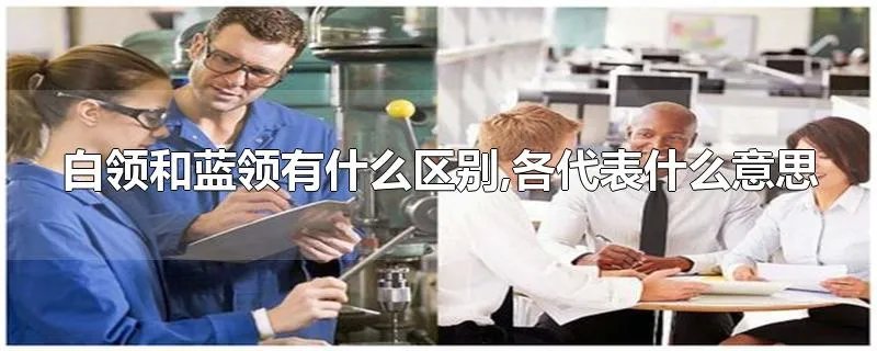 白领和蓝领有什么区别,各代表什么意思